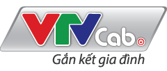 truyenhinhcapvietnam