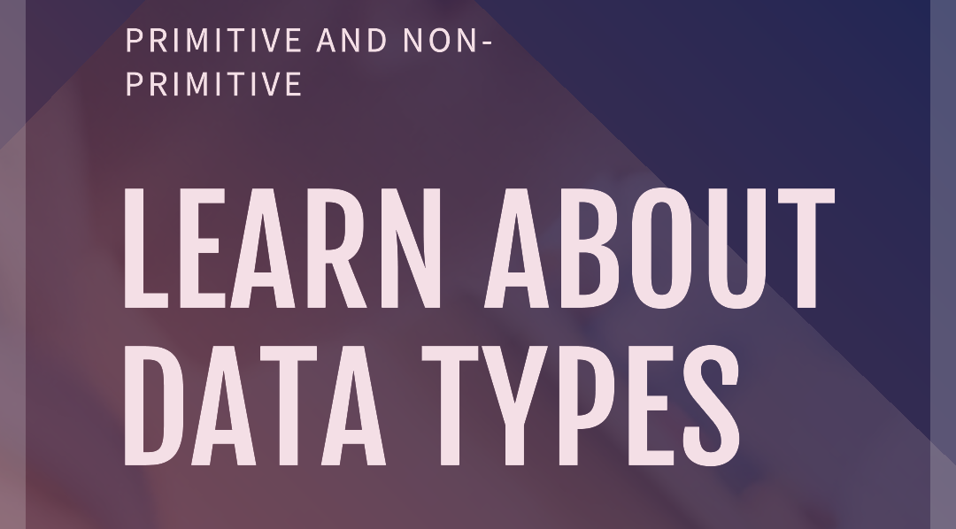 JavaScript Data Types