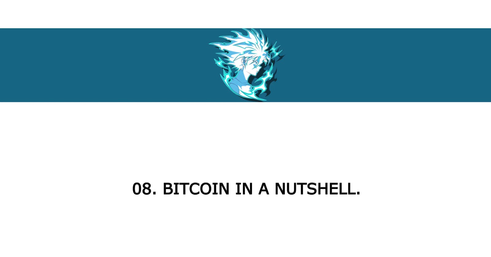 CBFS-08: Bitcoin in a Nutshell.