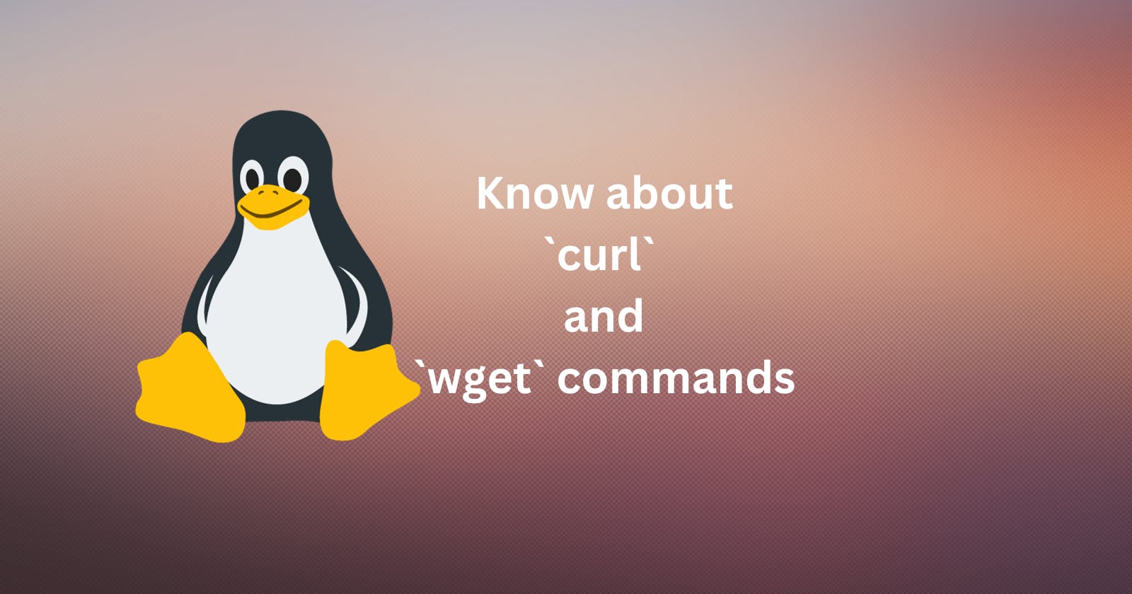 Linux wget and curl command  for Efficient File Retrieval and Data Transfer