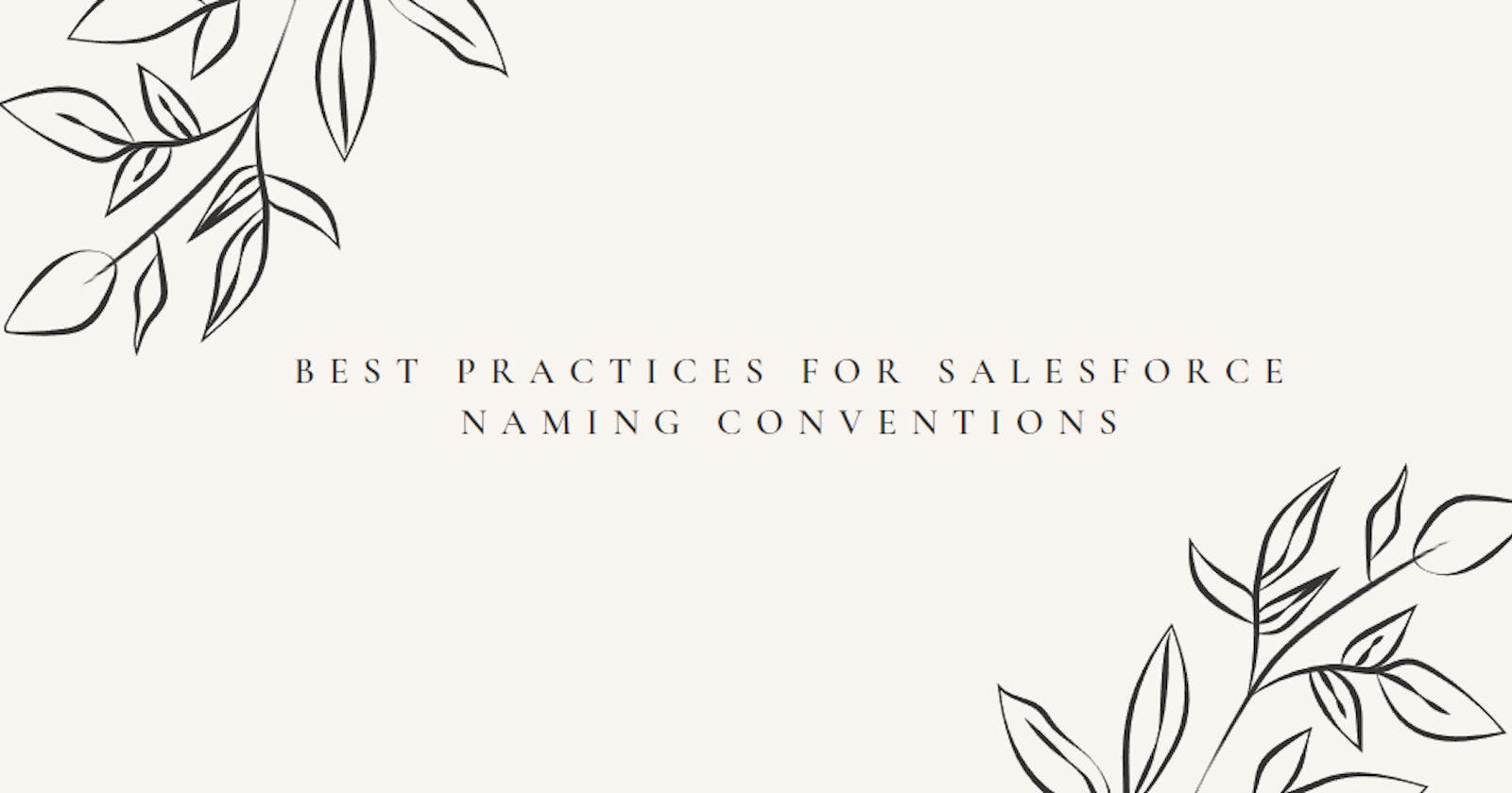 Best Practices for Salesforce Naming Conventions