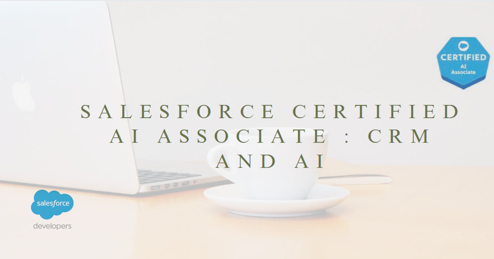 Salesforce Certified AI Associate : CRM and AI