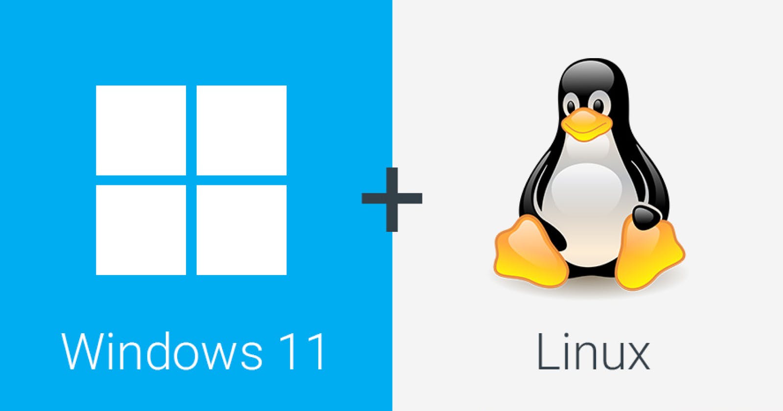 A Guide to Dual Booting Linux and Windows 11: Harnessing the Best of Both Worlds.
