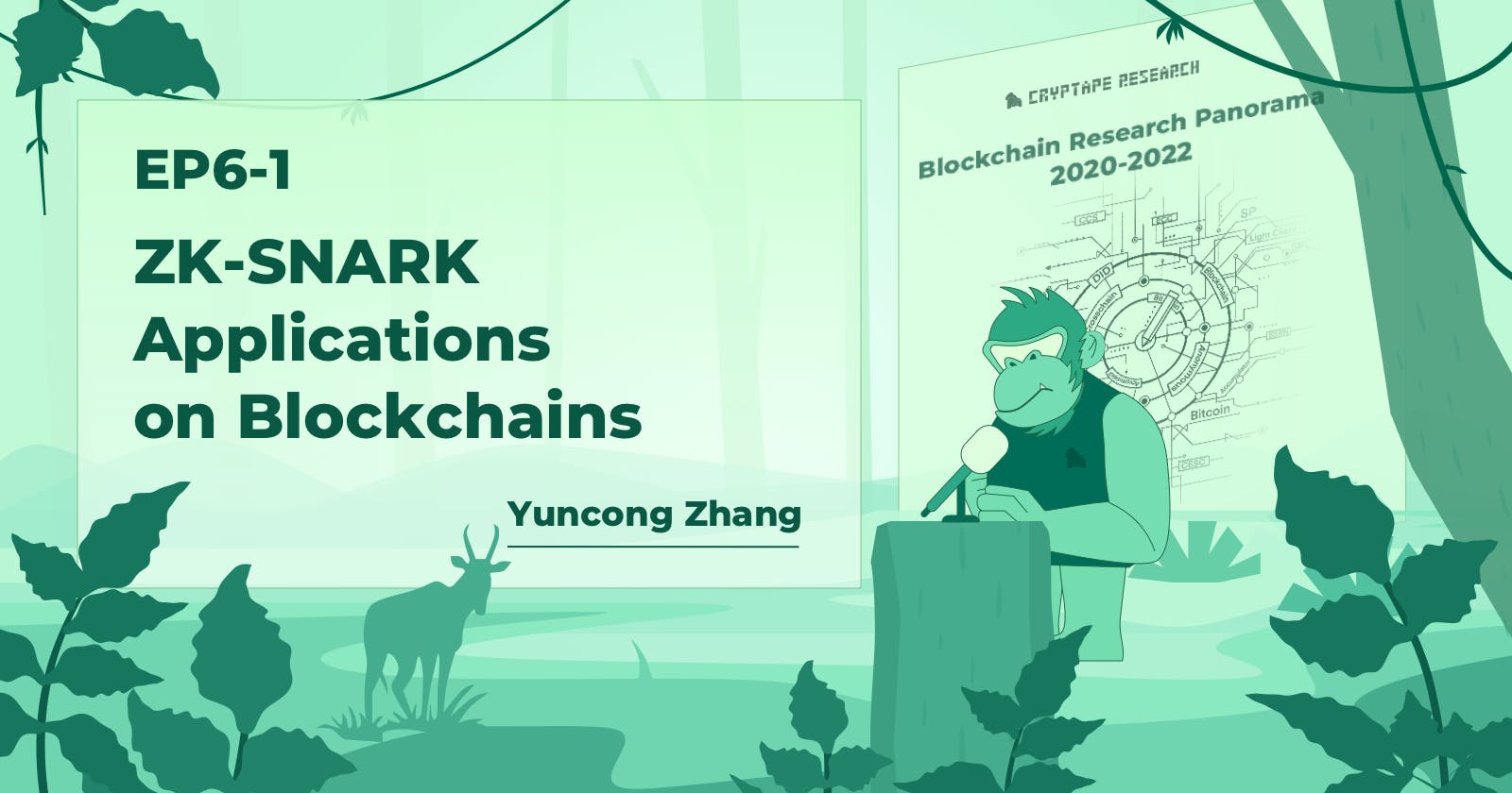 ZK-SNARK Applications on Blockchains