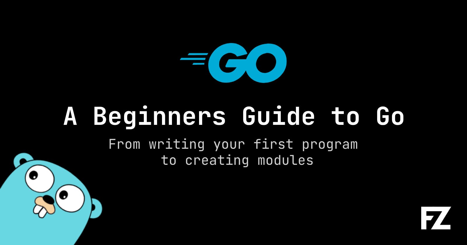 A Beginners Guide to Go
