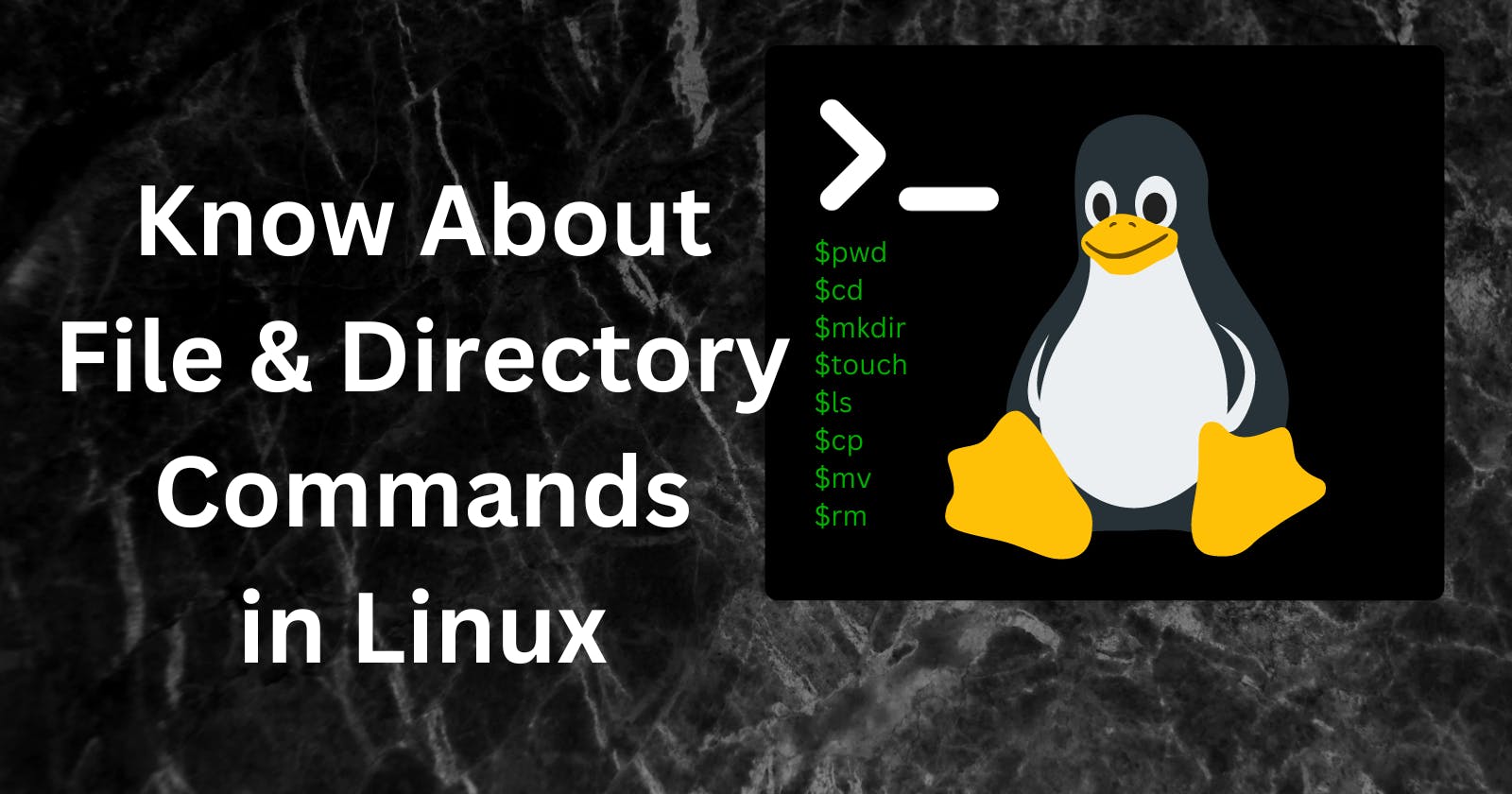 Unlocking the CLI: File and Directory Essentials for Every User