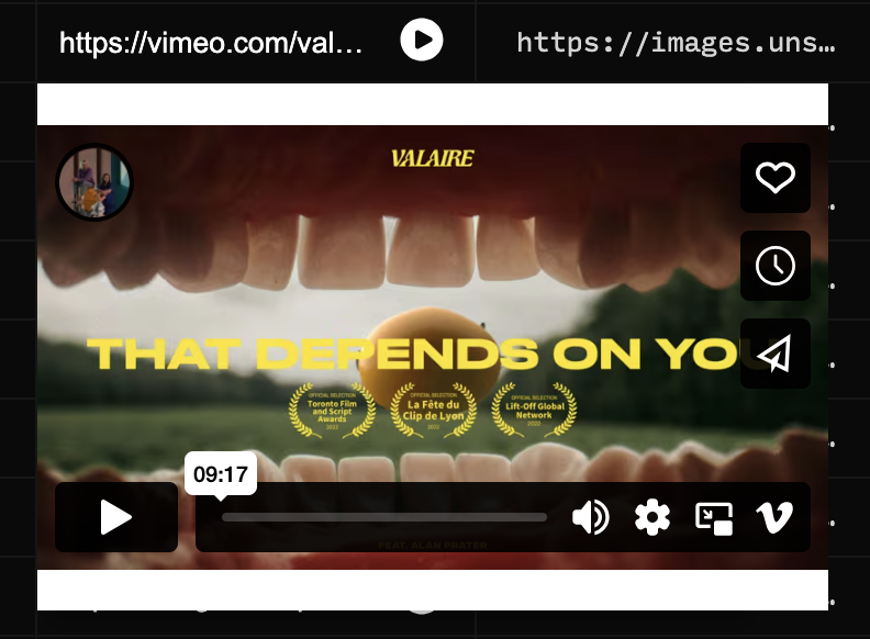vimeo player view
