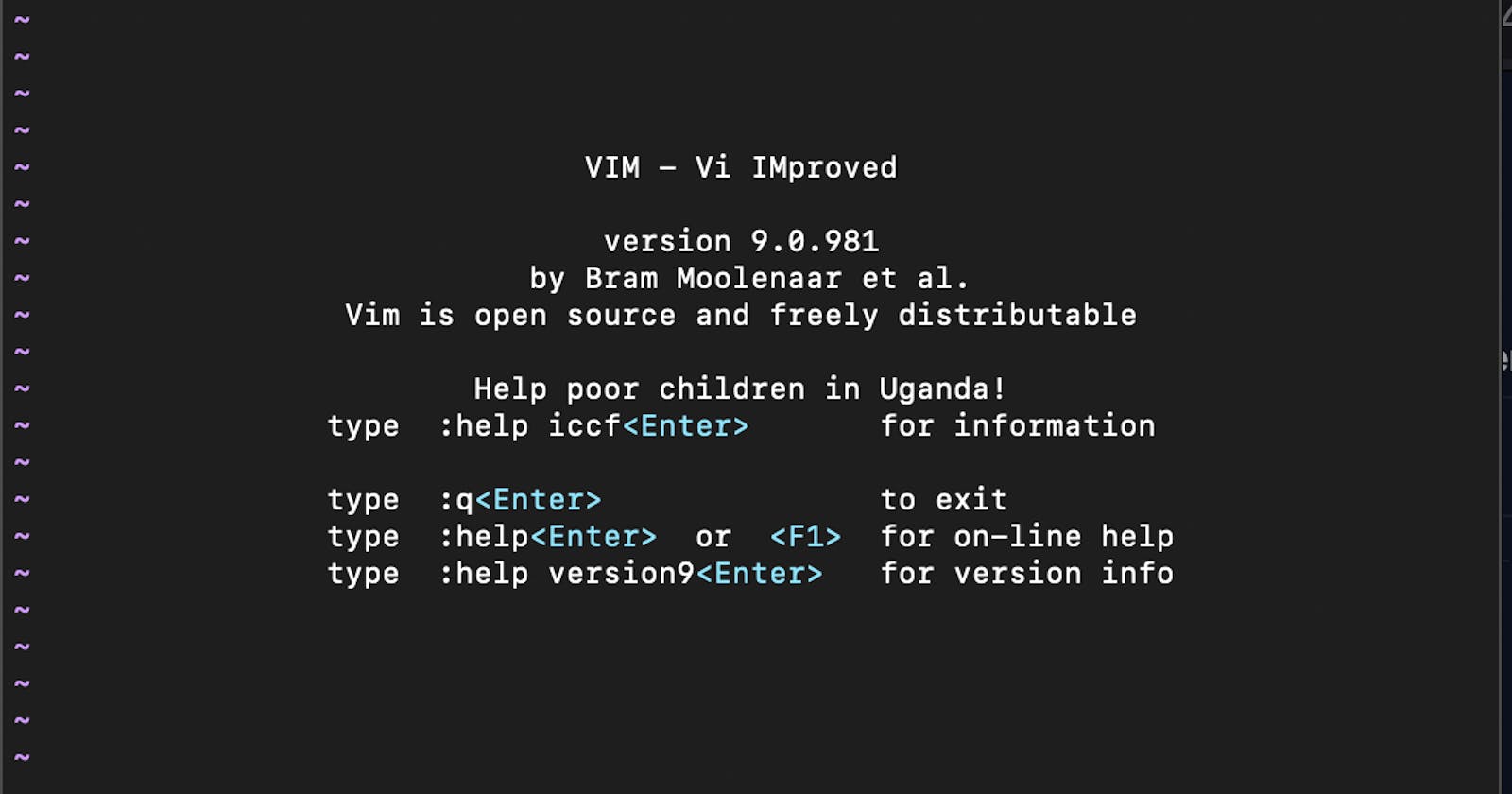 You need to get used to vim - here's why