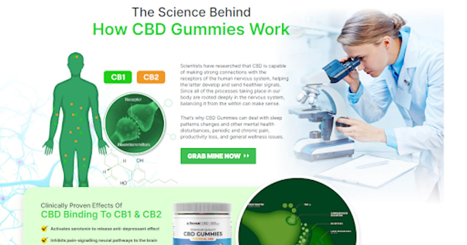 The Time Is Running Out! Think About These 7 Ways To Change Your Wellness Peak Cbd Gummies