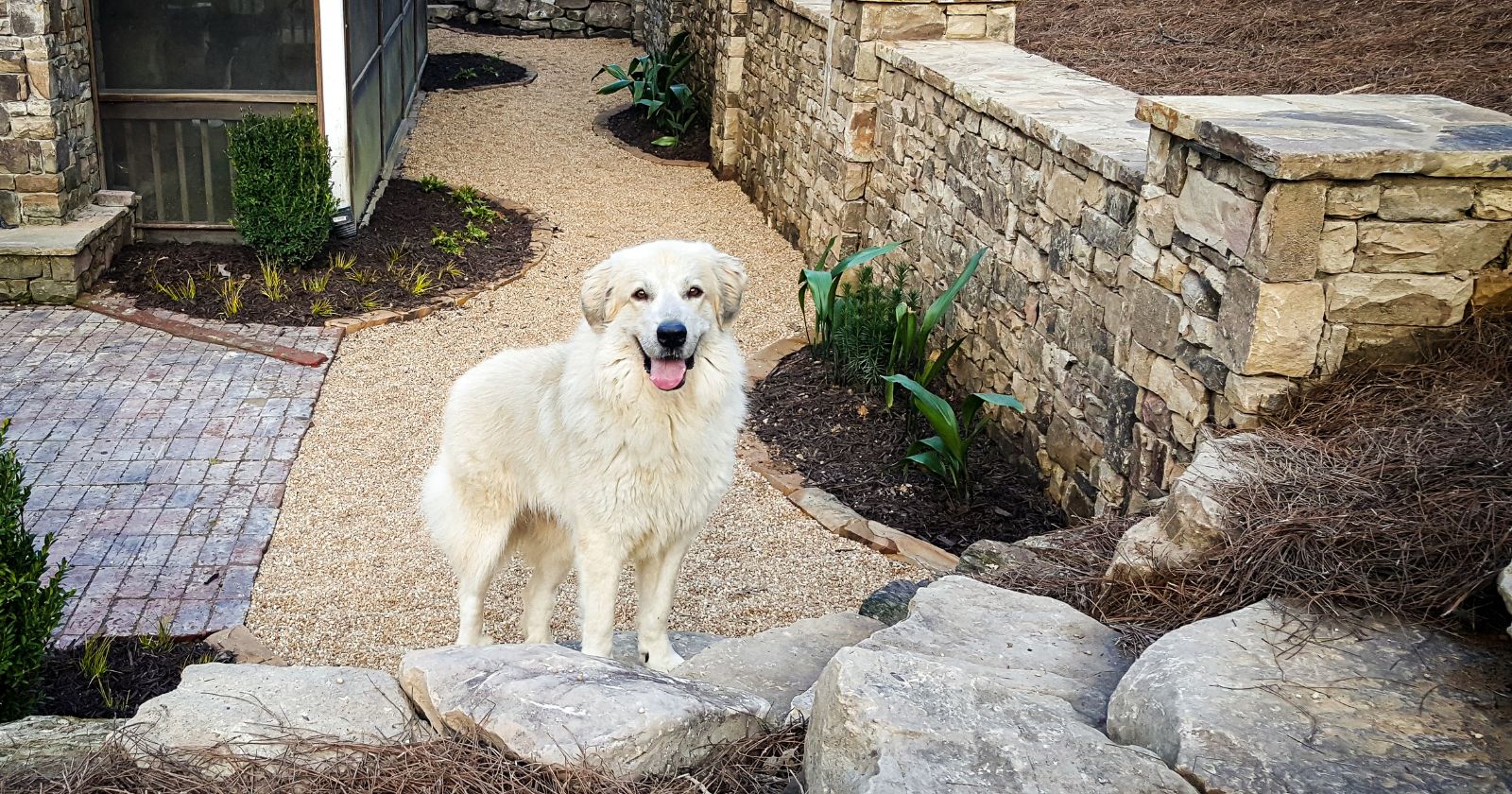 List Of Latest Hardscaping Trends That Will Make You Stunned