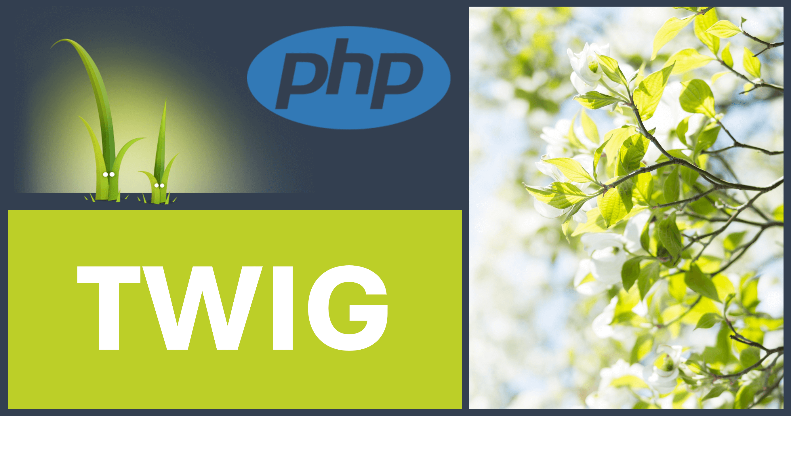 What is Twig and how to start using it