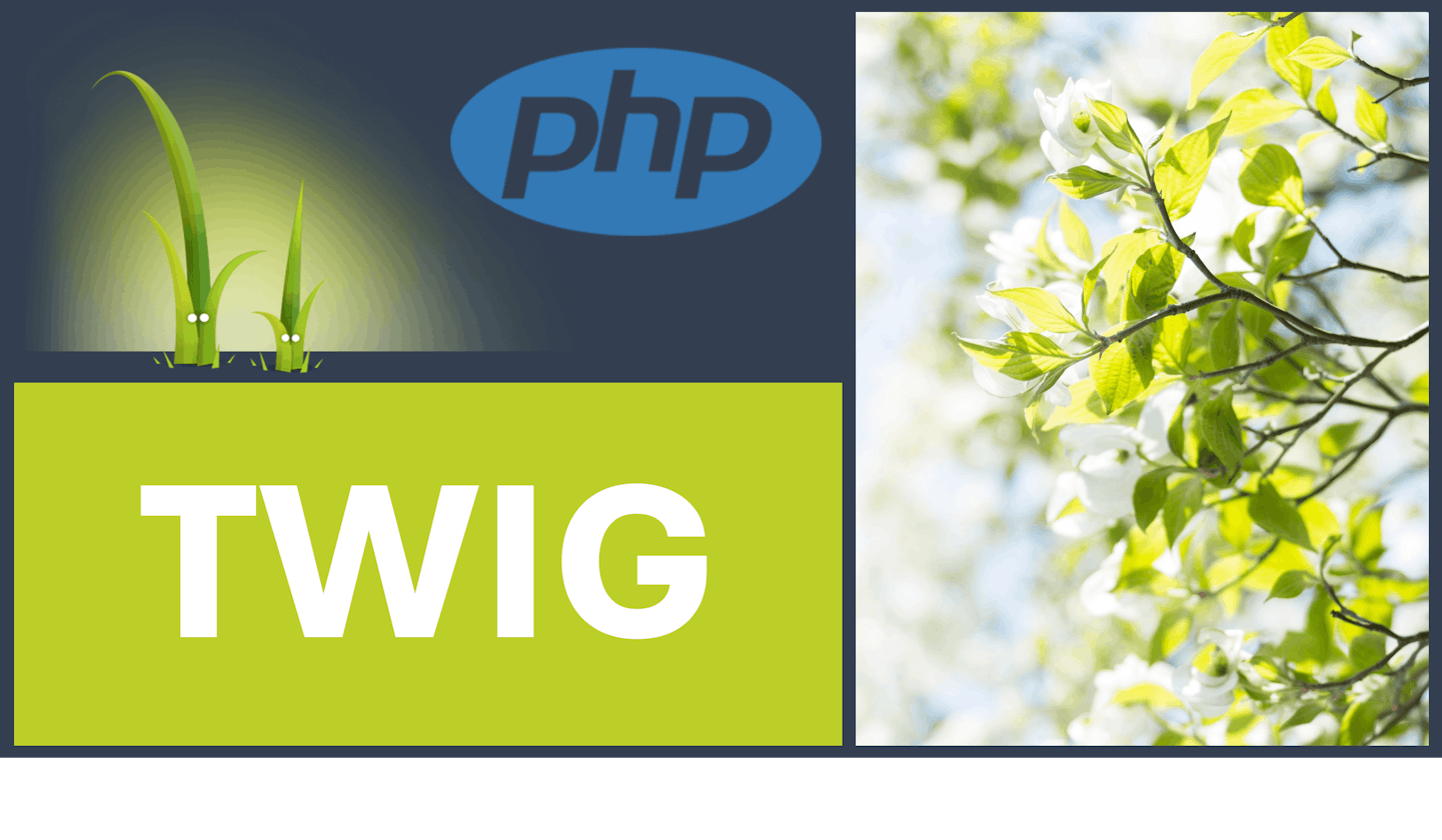 What is Twig and how to start using it