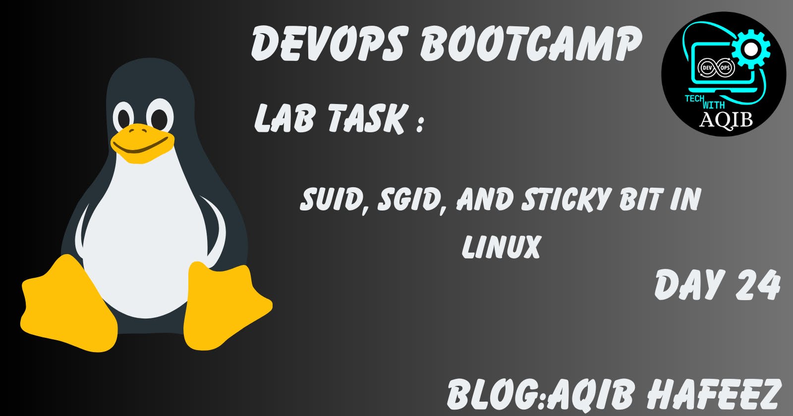 Day 24 || SUID, SGID, and Sticky Bit in Linux