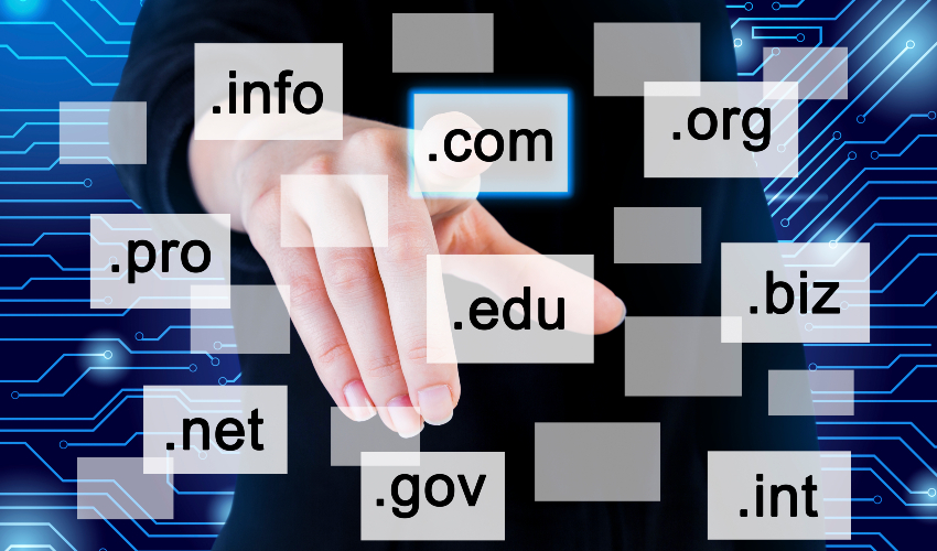 The Domain Name System (DNS)