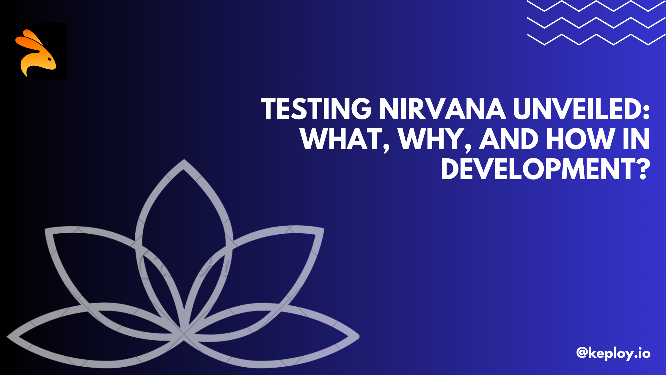 Testing Nirvana Unveiled: What, Why, and How in Development?