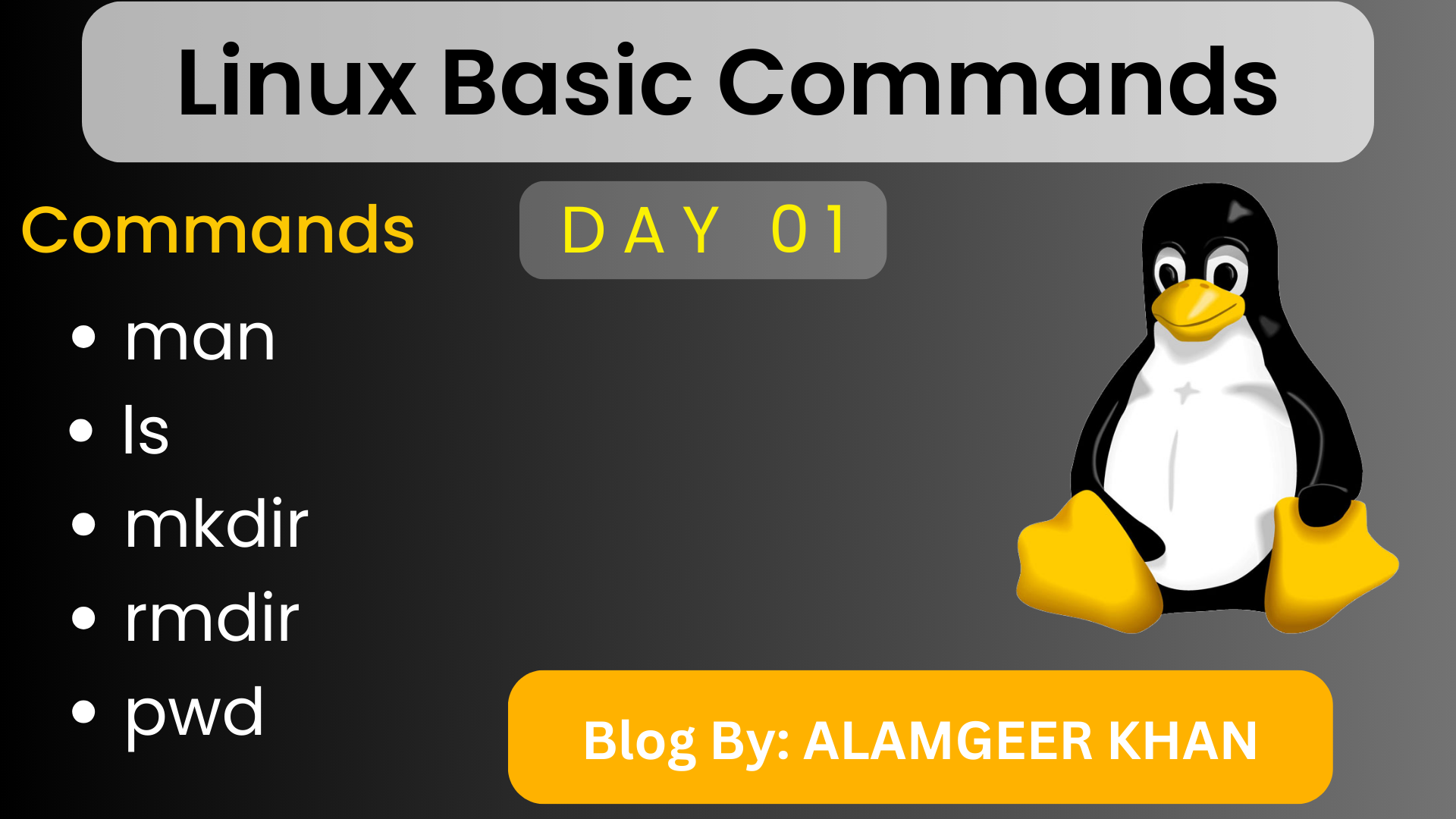 Linux Basic Commands