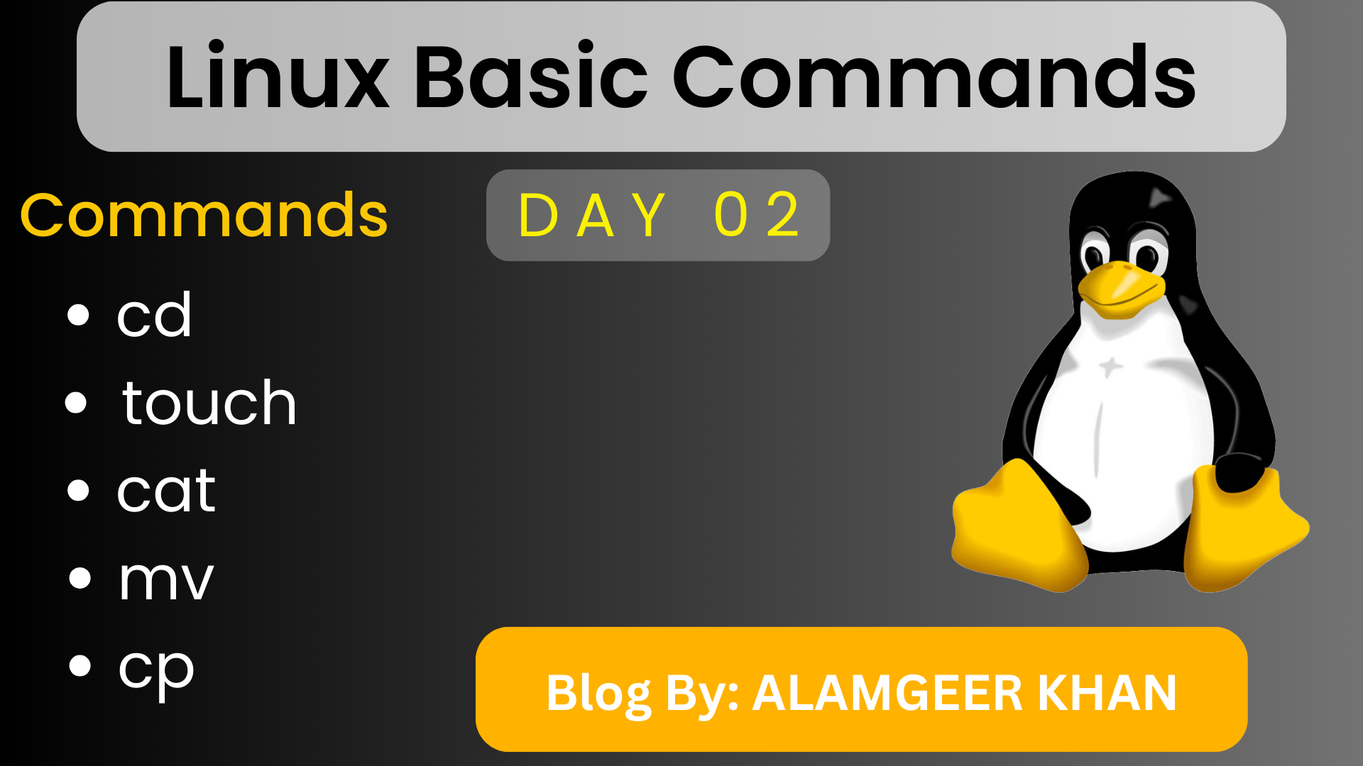 Linux Basic Commands