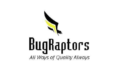 BugRaptor's Blog