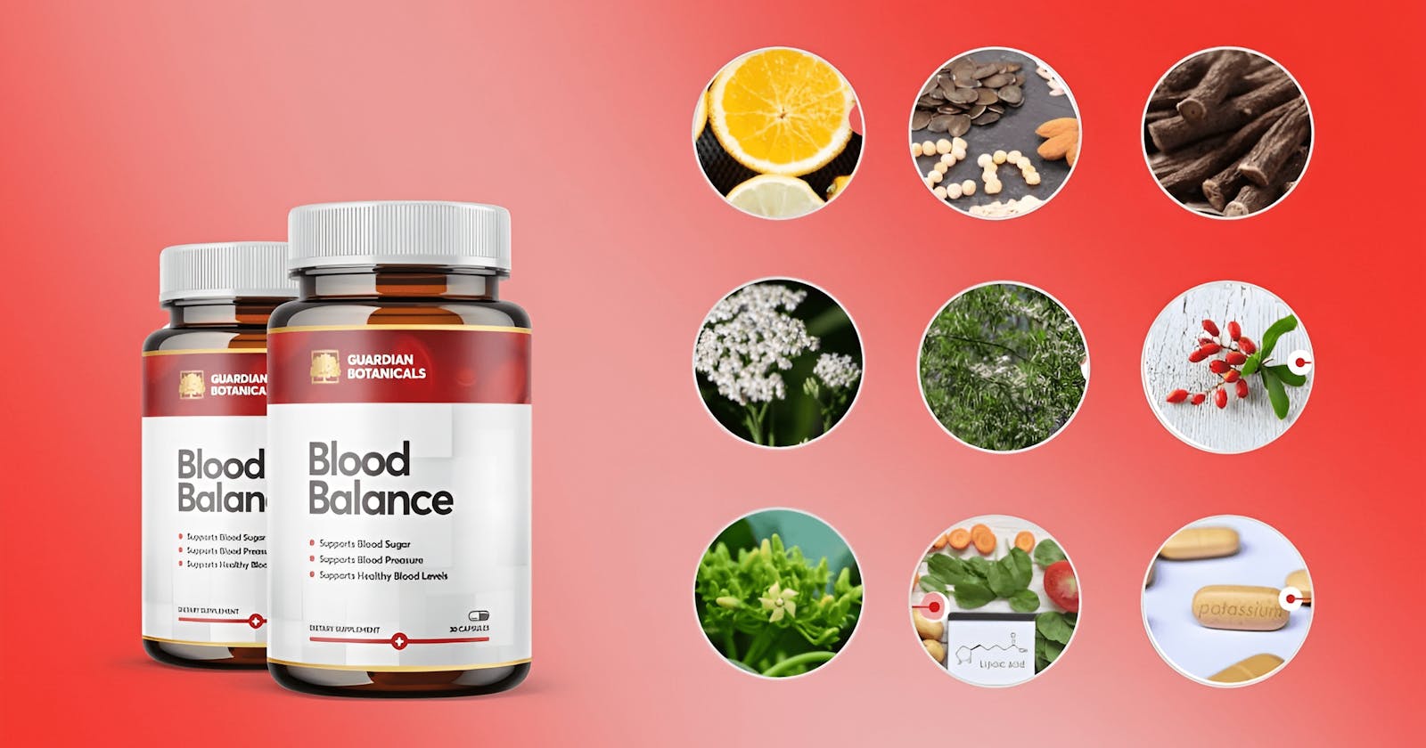 Blood Balance Advanced Formula Review – Does Blood Balance Advanced Work Or Scam? Price and Benefits