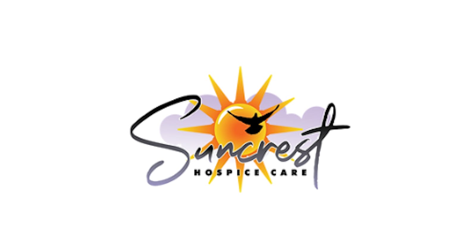 The Role of Professional Ancillary Services — Suncrest Hospicecare