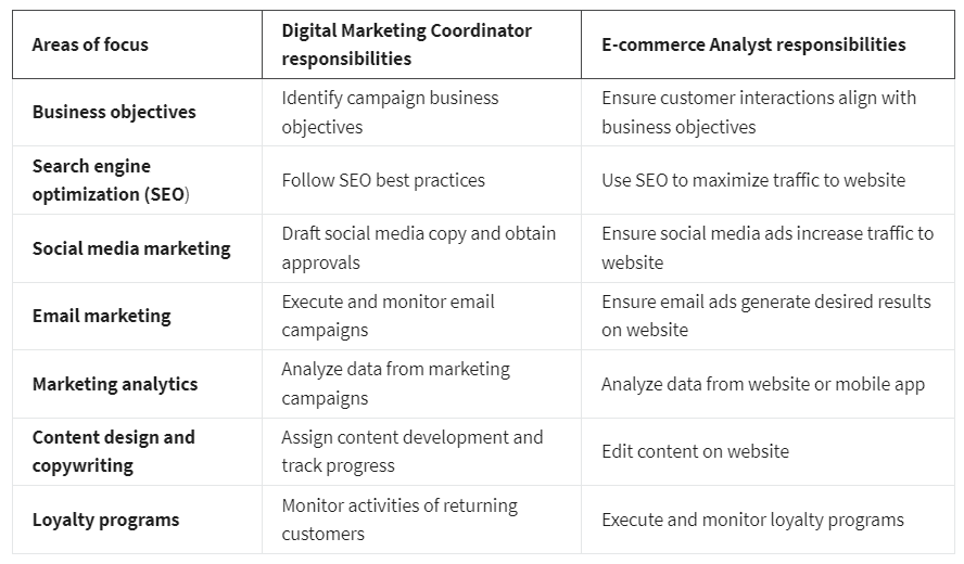 different job responsibilities between entry-level roles in digital marketing and e-commerce