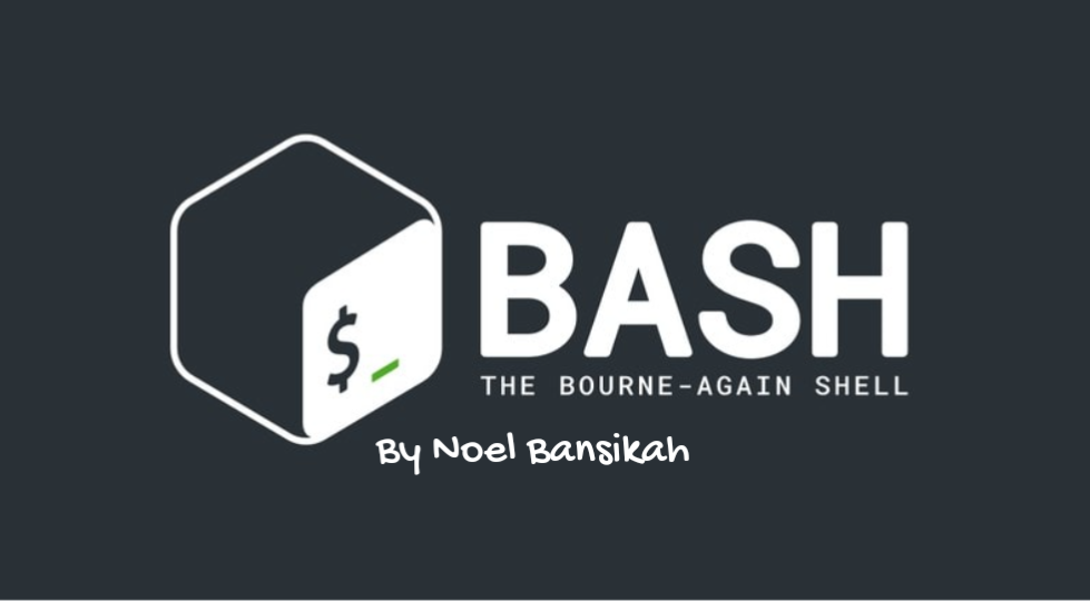 Bash Basics