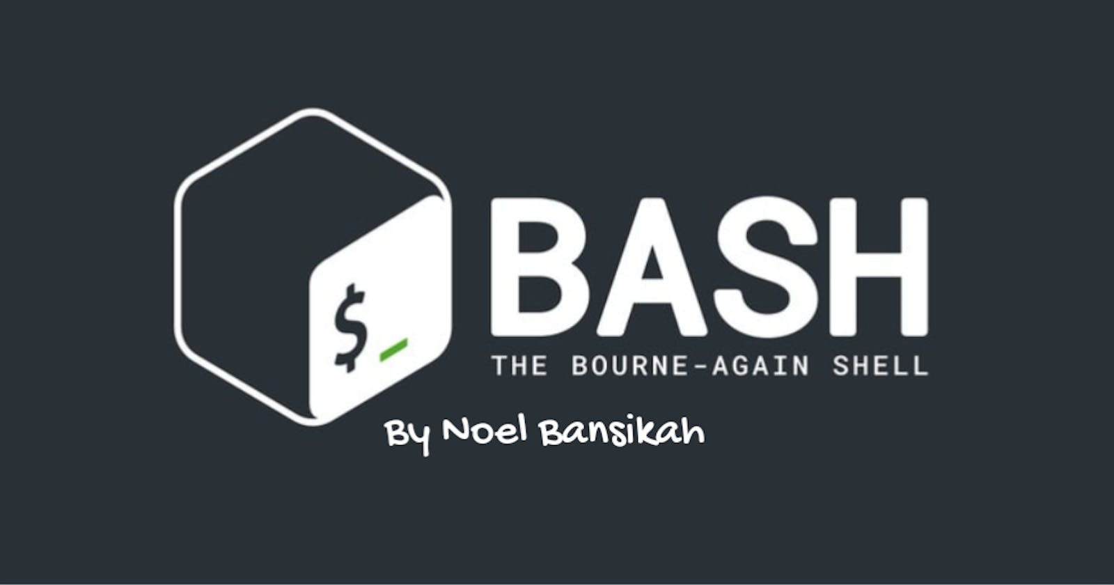 Bash Basics