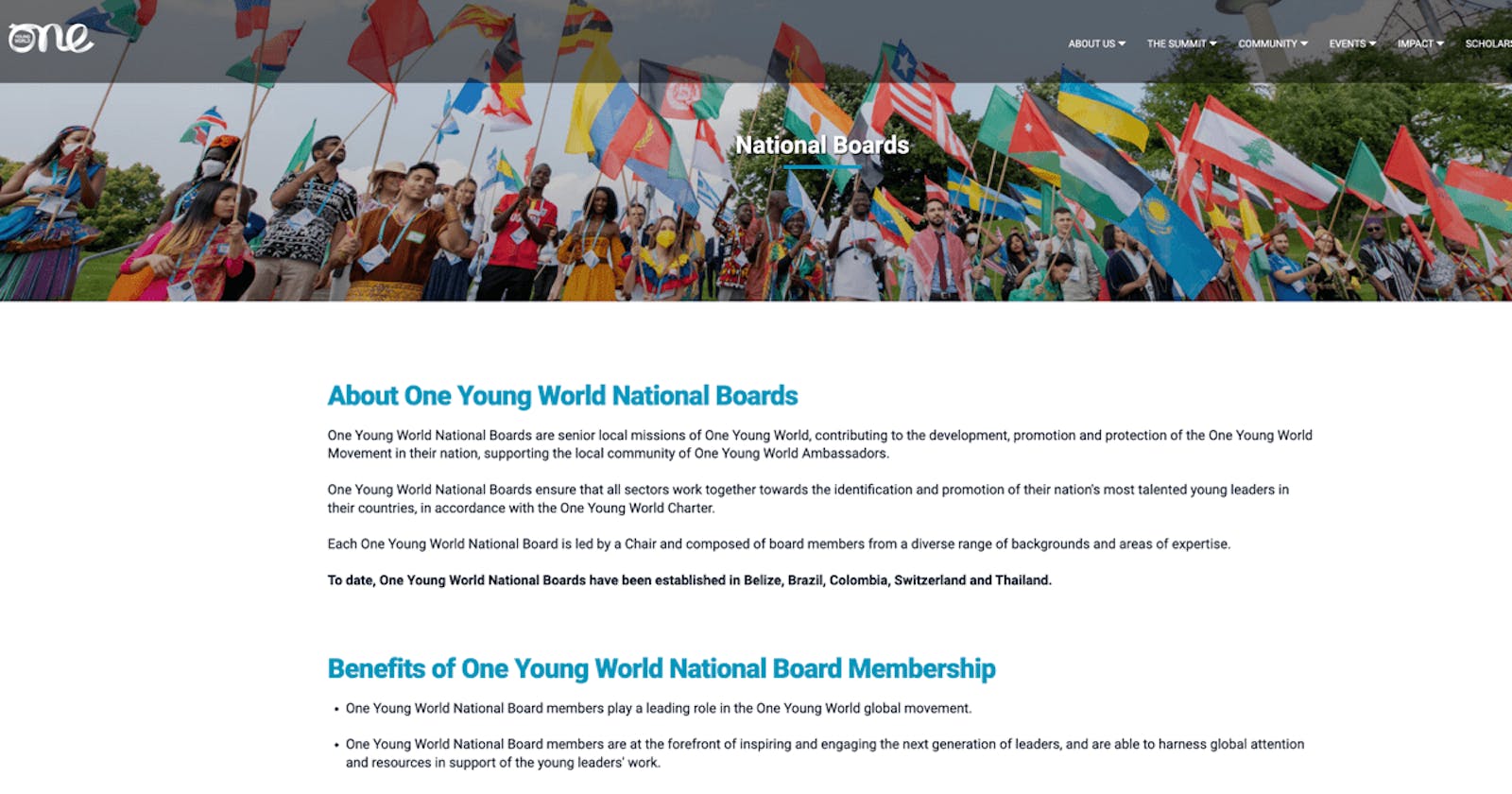 One Young World: National Boards Project