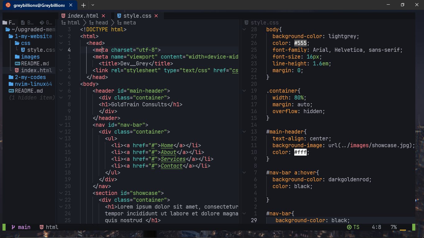 writing codes with Neovim