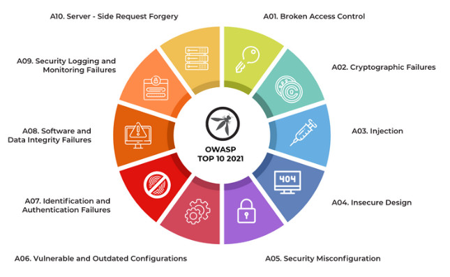 100 web vulnerabilities categorized into various types