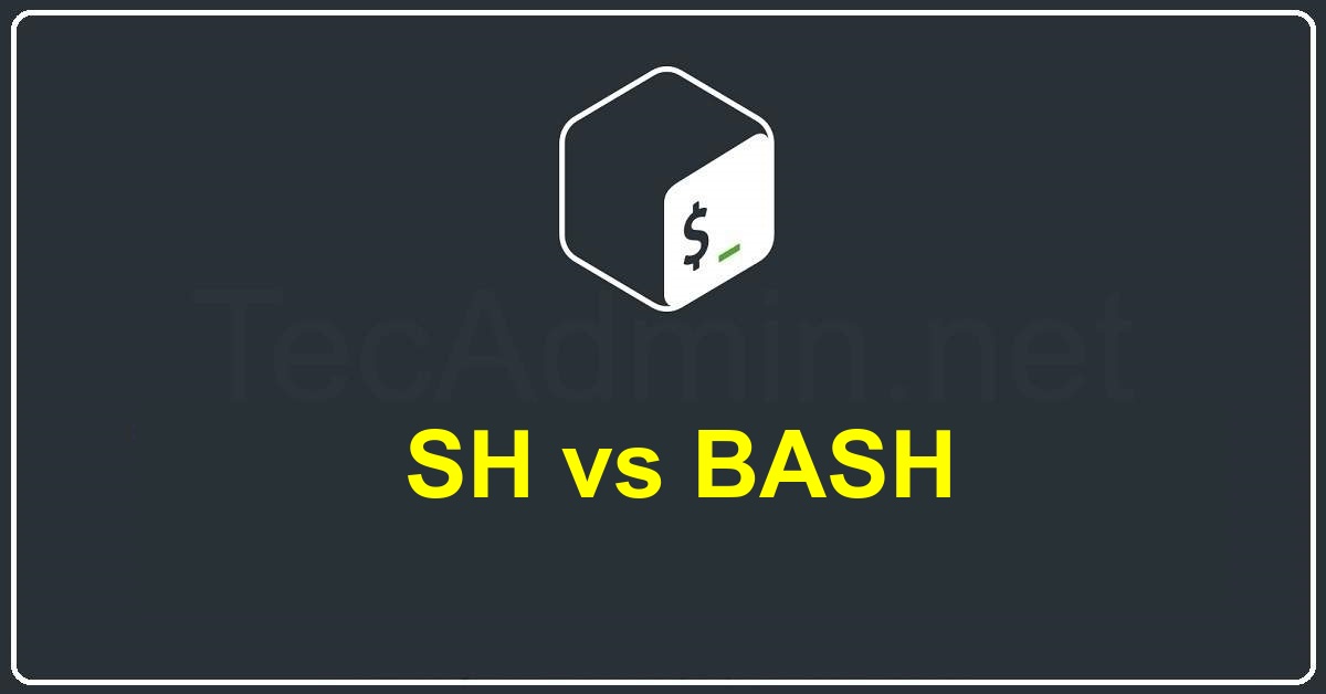 Bash Script