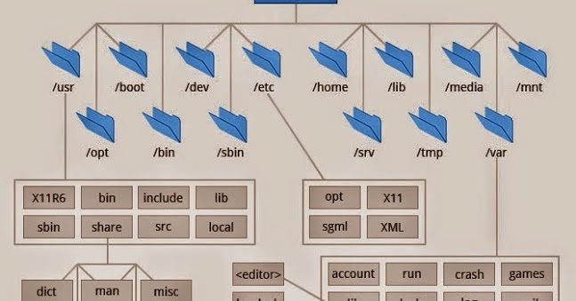 Navigating the Linux File System: A Comprehensive Guide to Directories