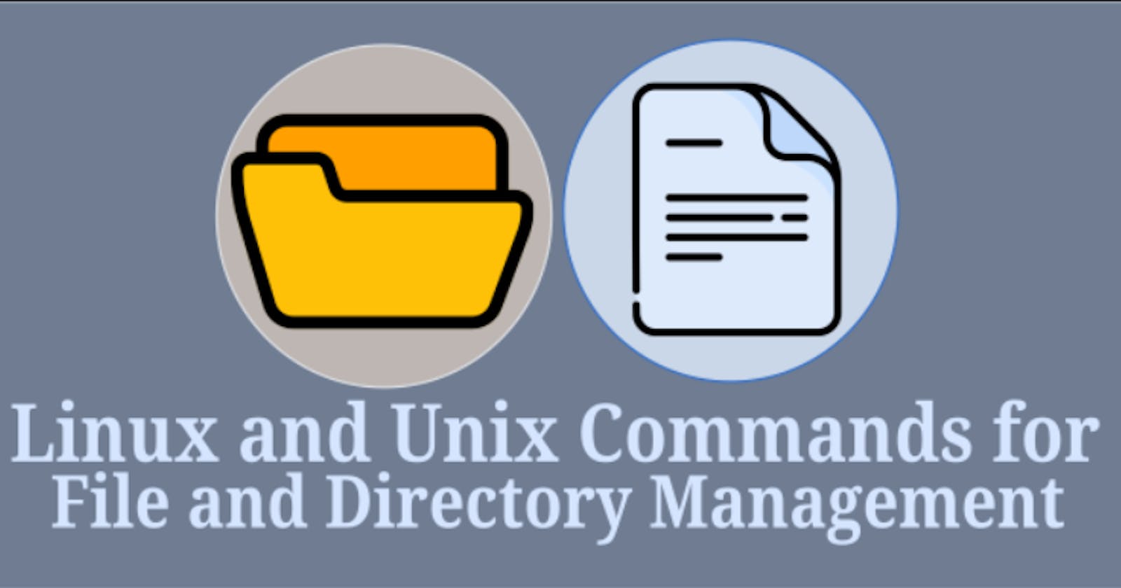 Day 3 : Mastering Basic Unix Commands for File Management: A Step-by-Step Guide 📁🔒🔍