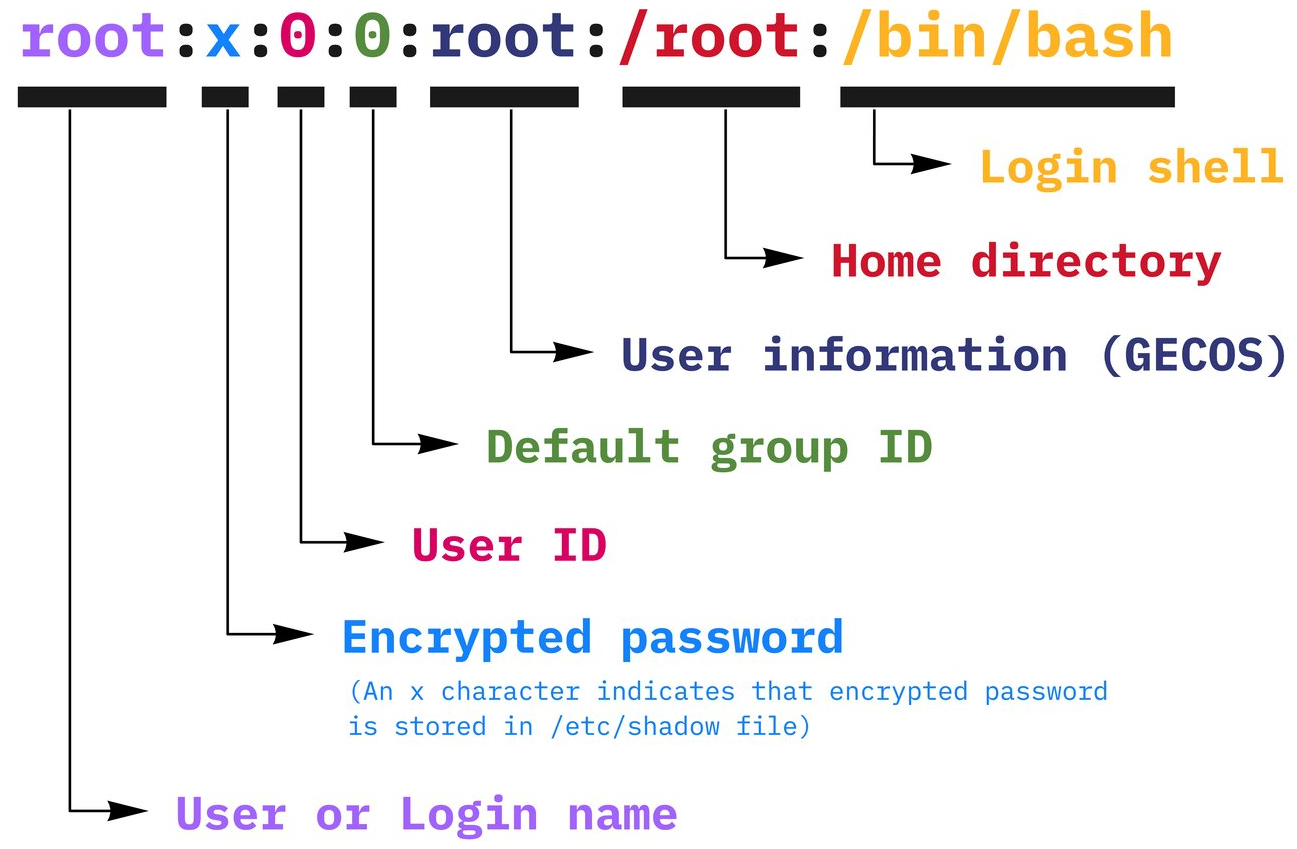 Mastering User 👤 and Group 👥 Management in Linux 🐧