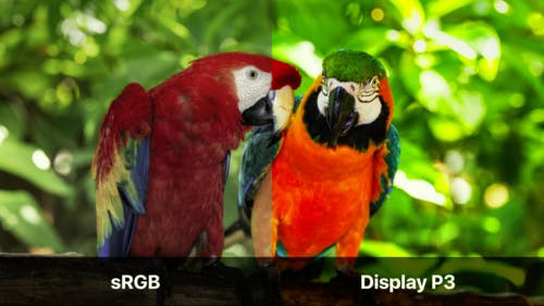 sRGB vs. Display P3