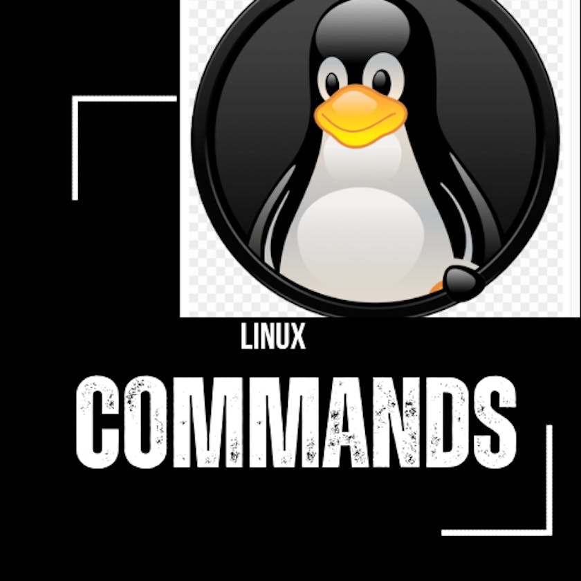 Linux Fundamentals / Basic Command