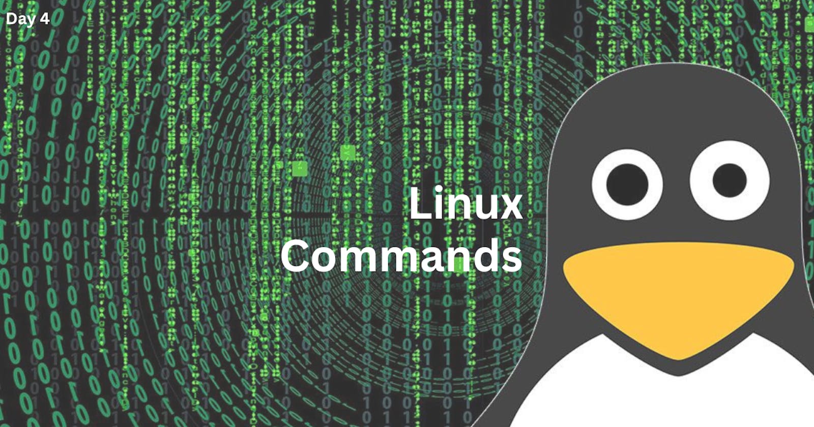 Day 4: Some more Linux Commands