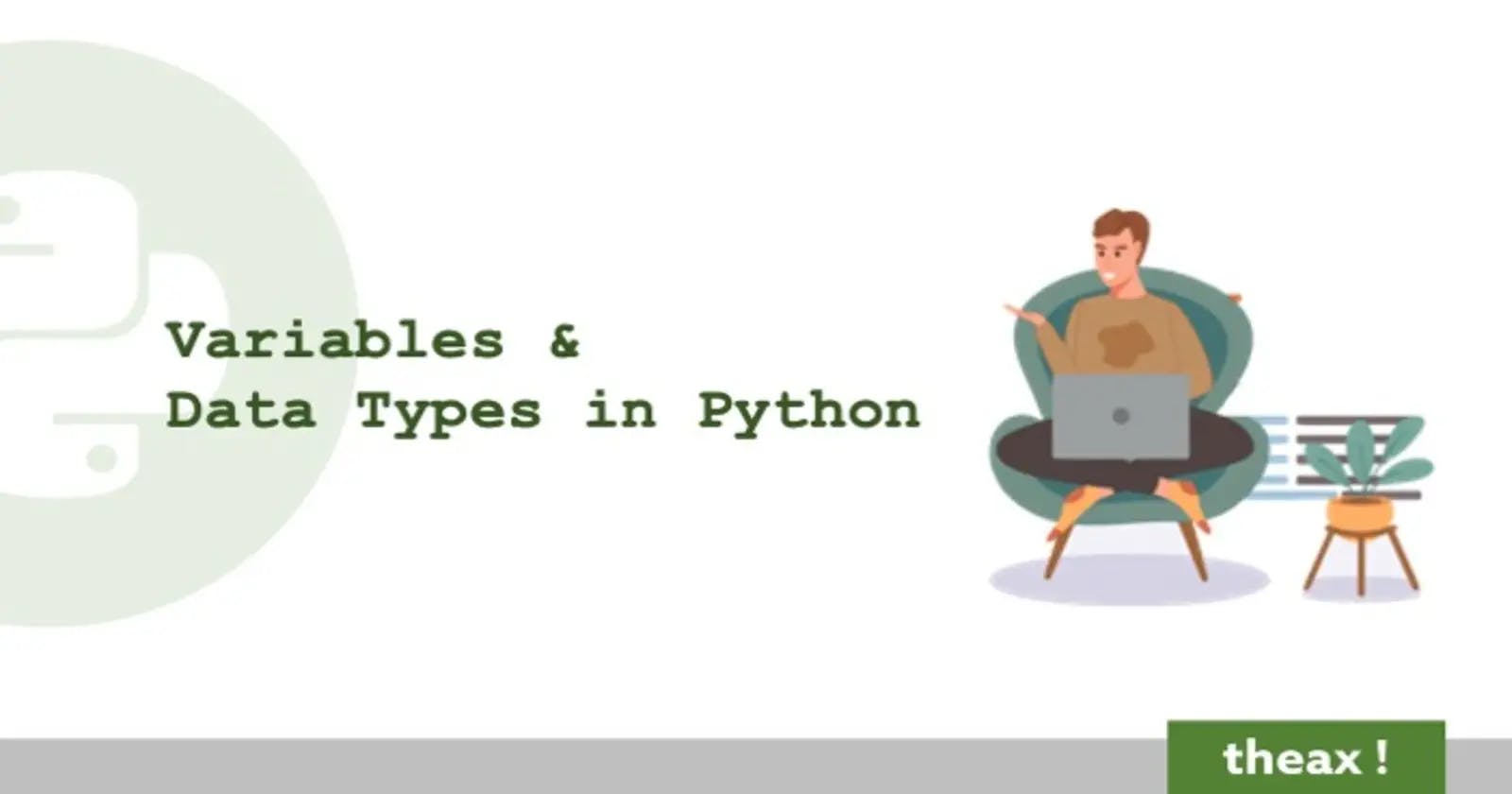 A Comprehensive Guide to Python Variables and Data Types