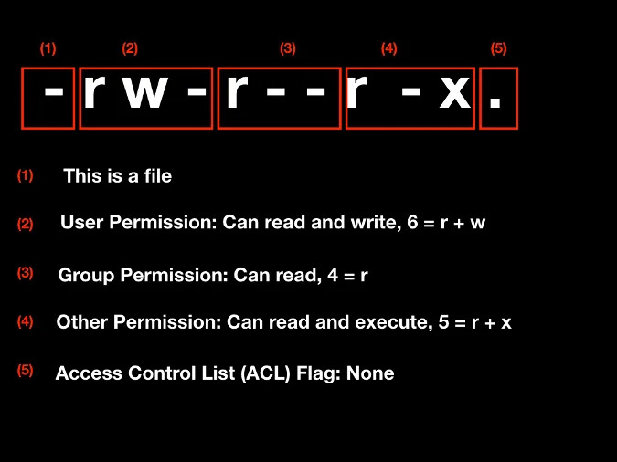 Linux File System Permissions