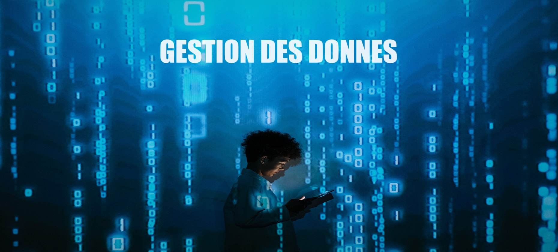 Leçon 3 : Gestion des Données