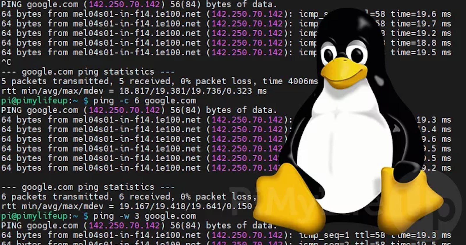 🚀Basic Linux Shell Scripting for DevOps Engineers