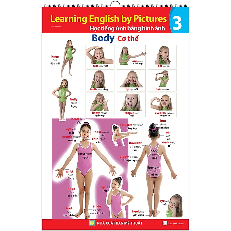 [Tiếng Anh Basic]chủ đề bộ phận cơ thể người