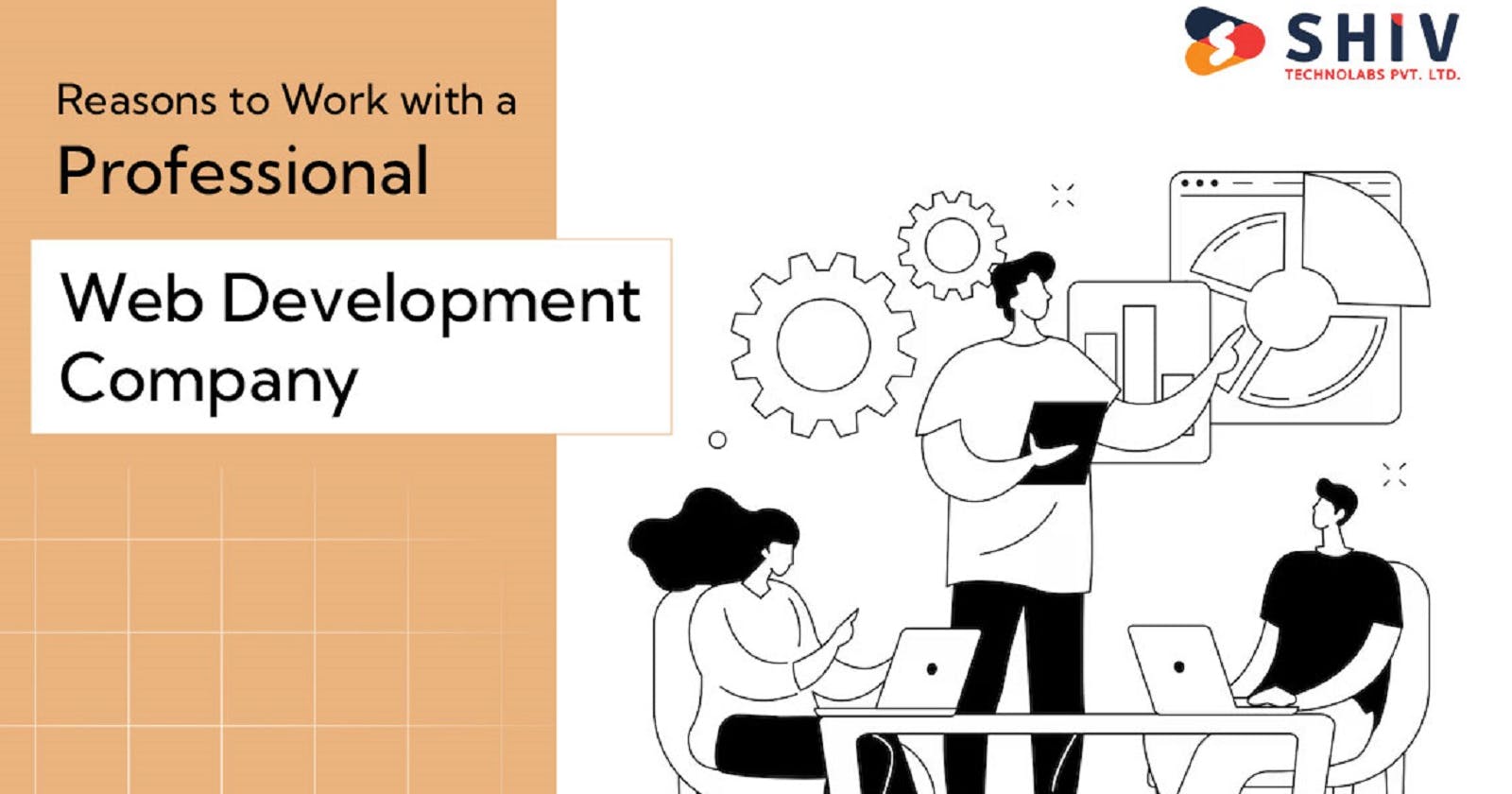 Reasons to Work with a Professional Web Development Company