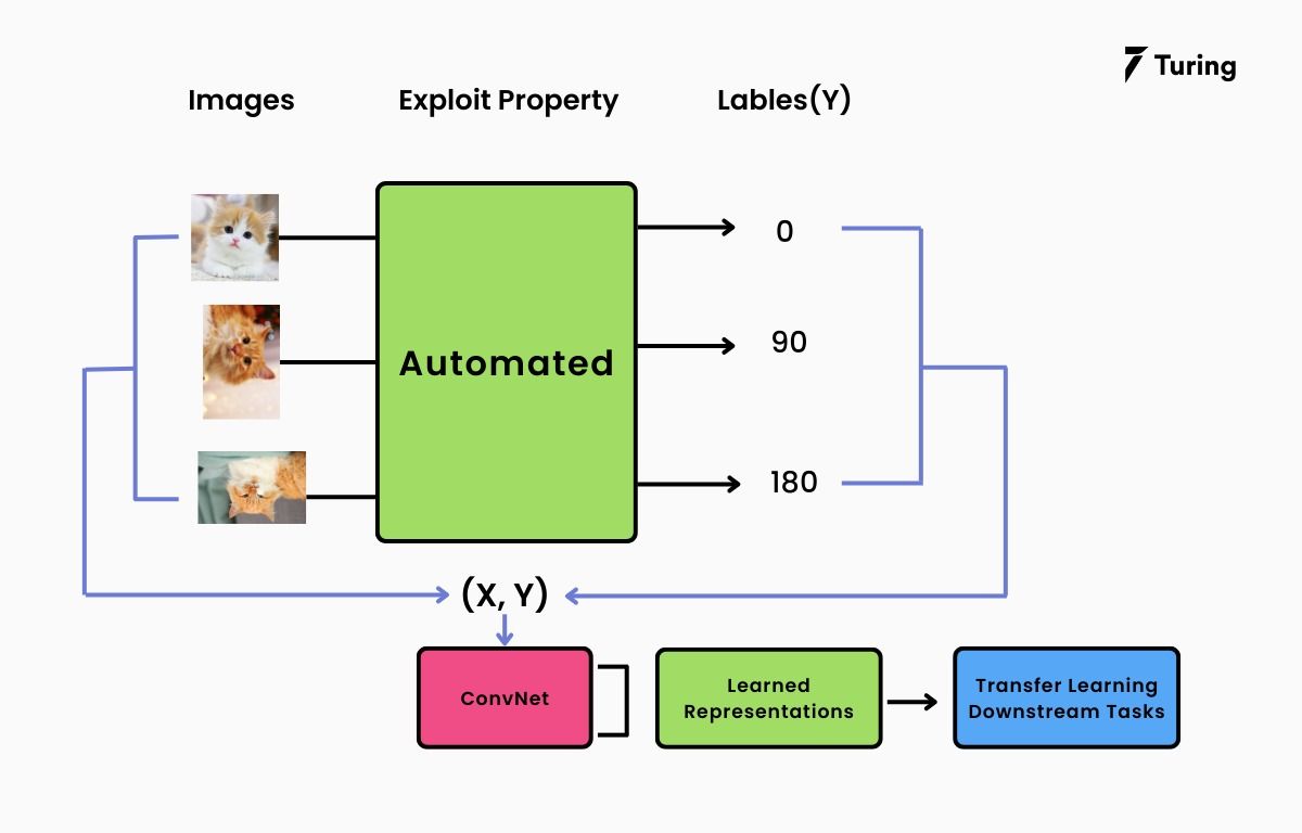 self-supervised learning in LLM