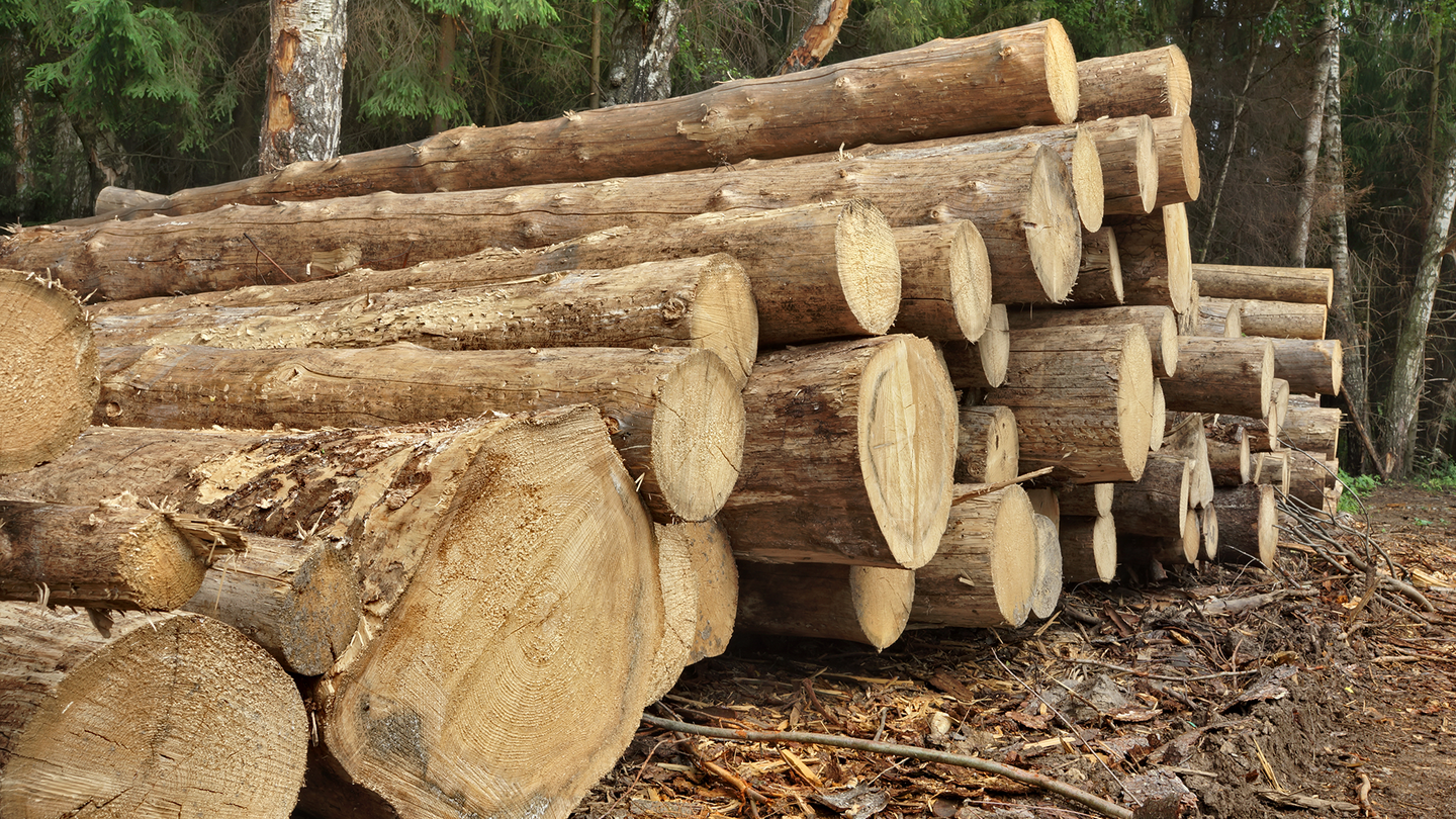 Log Management And Analytics