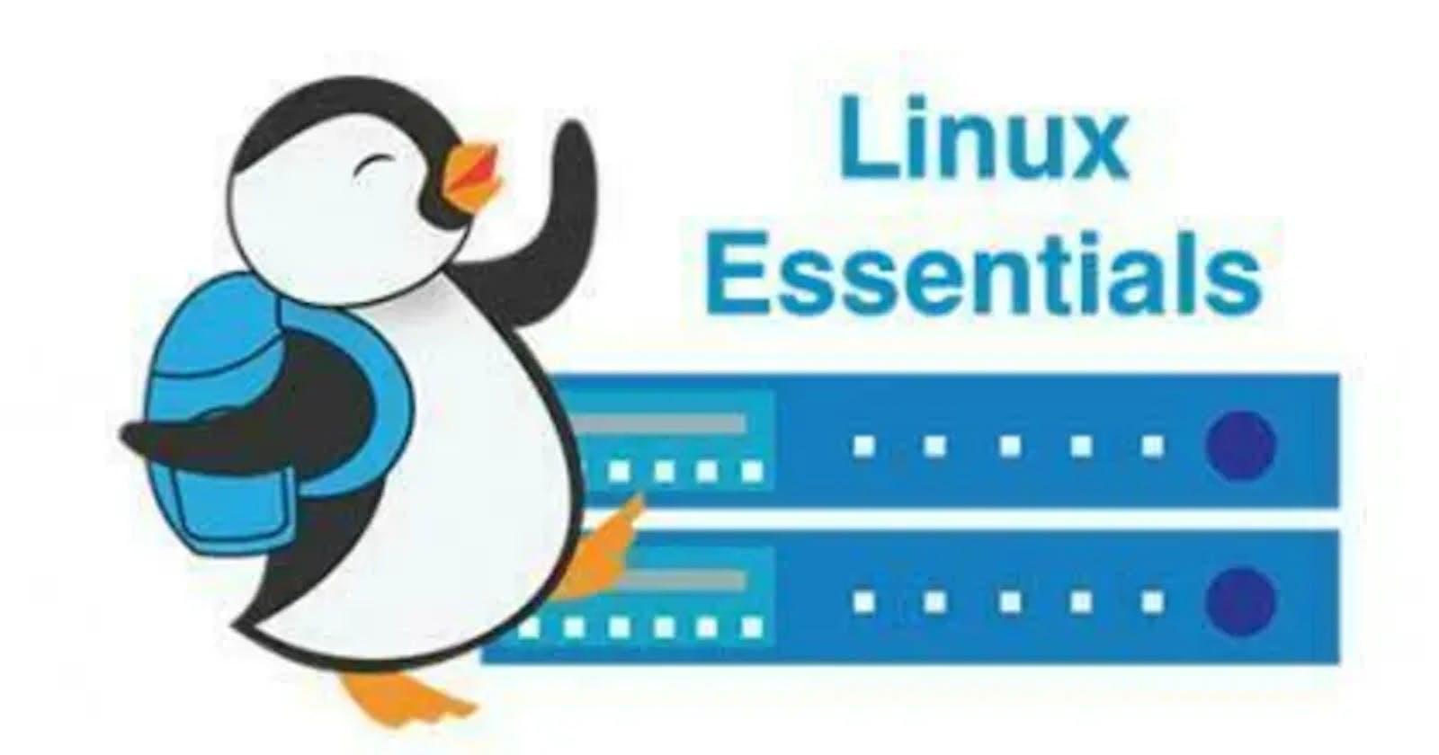 Linux: An Essential for DevOps, Especially for Beginners