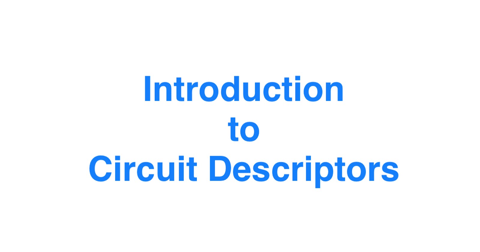 Introduction to Circuit Descriptors in Quantum Computing