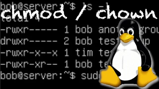 How To Change Permissions And Ownership Of The File or Directory