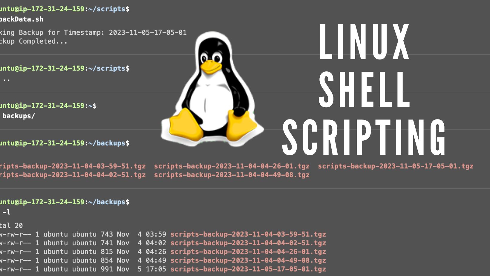 Linux Shell Scripting for DevOps