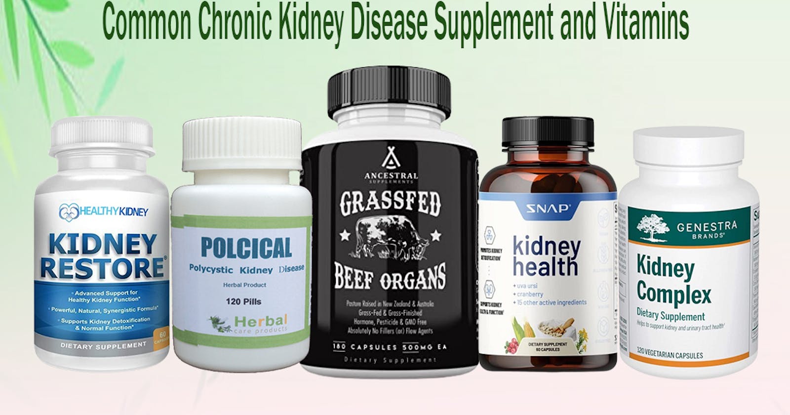 The Best Natural Supplements for Helping Kidney Health